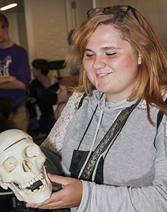 A student looks at the 3-D model of a skull.