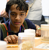 A student examines brains in jars.