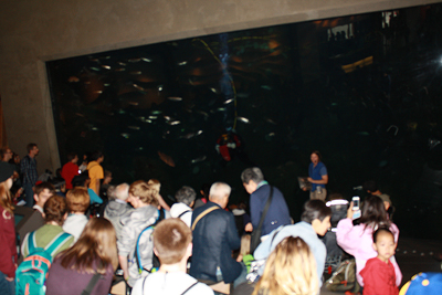 Image of students at the Seattle Aquarium