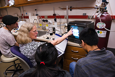 Instructor showing students observation results during a neurobiology lab Image of students and an instructor showing observation results during a neurobiology lab