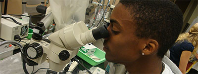 Person looking through microscope