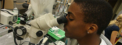 PresentSummary1.jpg Person looking through microscope