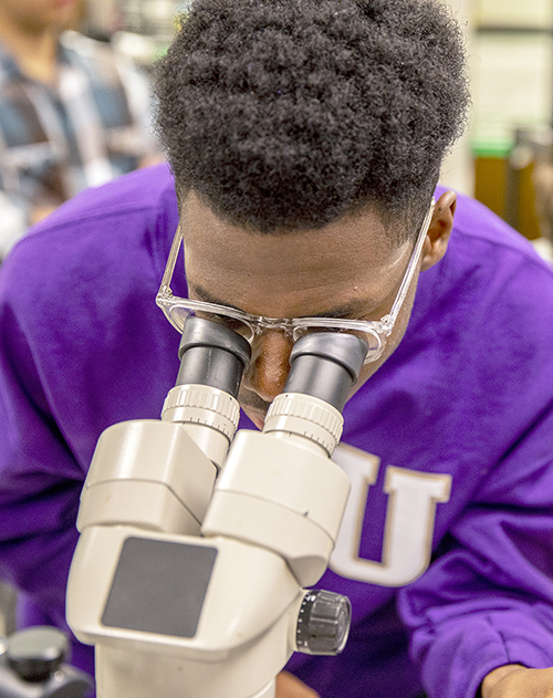 A student looks through a microscope. A student looks through a microscope.