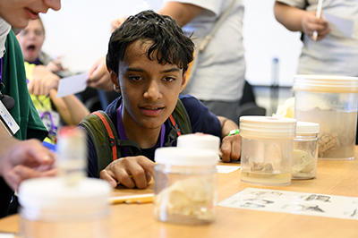 Student looks at science experiment.