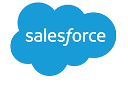 An image of the Salesforce logo.