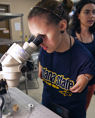 A student looks into a microscope.