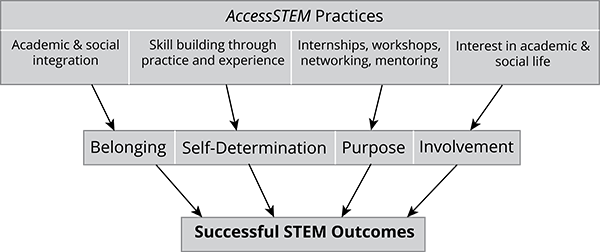 Successful STEM Outcomes chart 