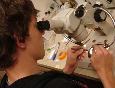 Photo of student using a microscope.