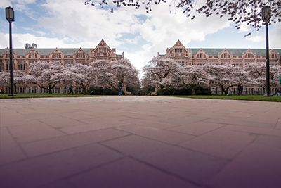 The Quad at University of Washington campus.