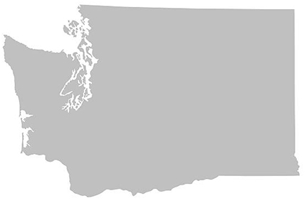 An outline of Washington State.