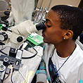 Image of a student looking through a microscope