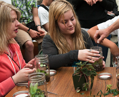 Photo of DO-IT Phase I Scholars creating terrariums