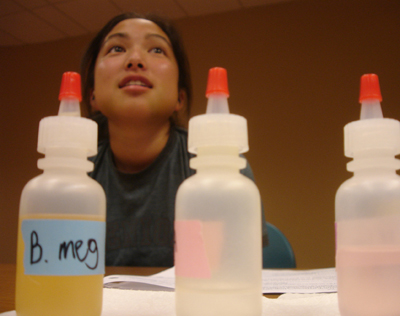 Phase II DO-IT Scholar Robyn learns about science in a hands-on lab class at Summer Study 2008. 