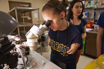Image of a student looking into a microscope during a neurobiology lab.