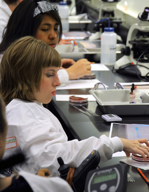 Student conducting a science experiment in a lab. Image of a student conducting a science experiment in a lab.
