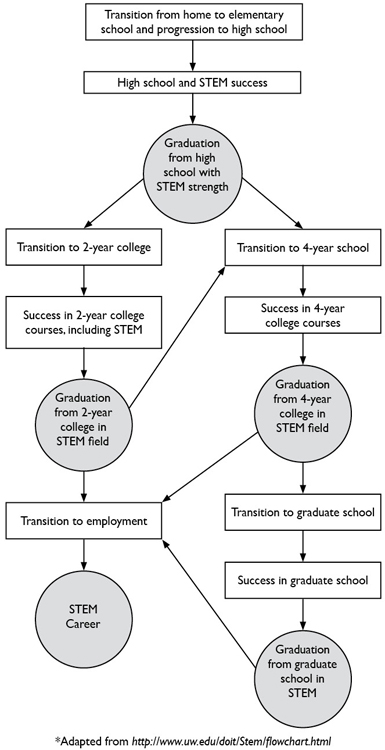 Flowchart listing the following critical junctures: graduation from high school, graduation from 2-year college in STEM field, graduation from 4-year college in STEM field, graduation from graduate school in STEM, STEM career position.