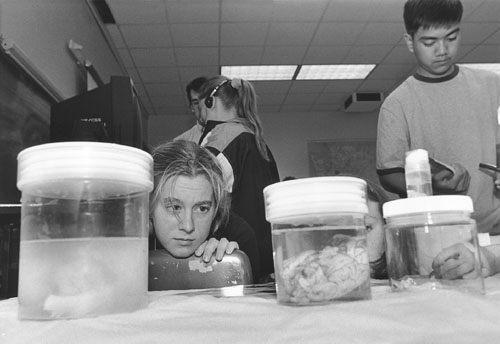 DO-IT Scholar Gretchen looking apprehensively at a lab experiment.