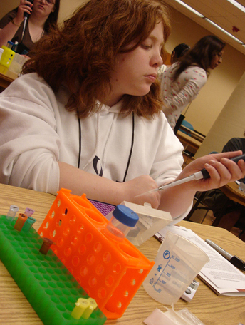Photo of a student working on a chemistry project