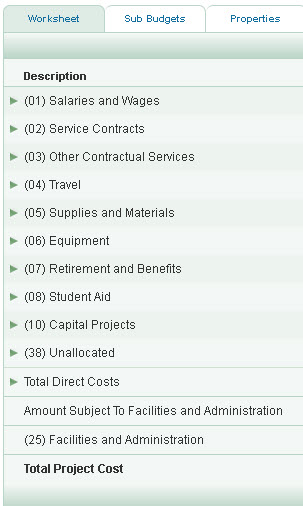 budget worksheet table columns