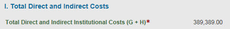 section I total direct and indirect costs