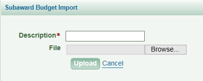 subaward budget import dialog