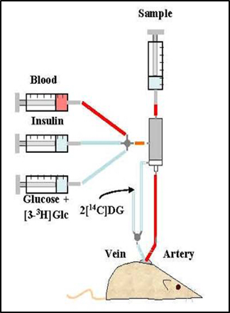 UW Cell Function Analysis Core image