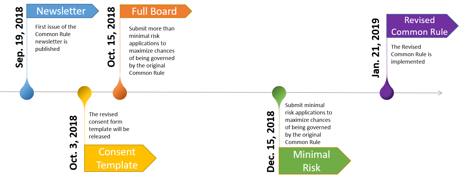 A visual timeline representing information and tools provided by HSD