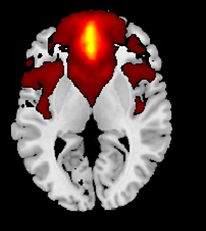 Bio-Molecular Imaging Center image