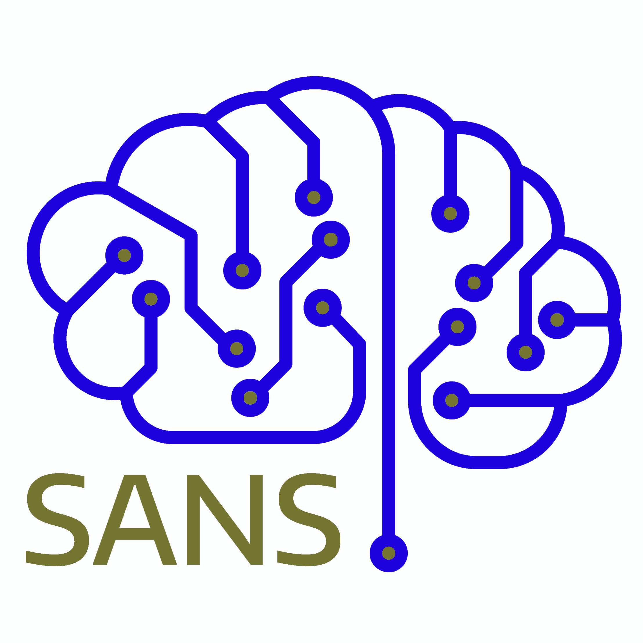 Stroke and Applied NeuroScience Center logo