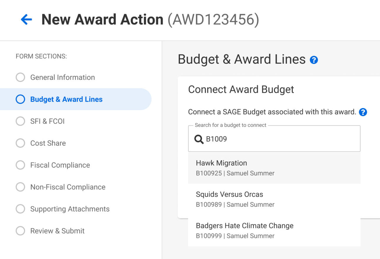New SAGE Award open with Budget & Award Lines section displaying
