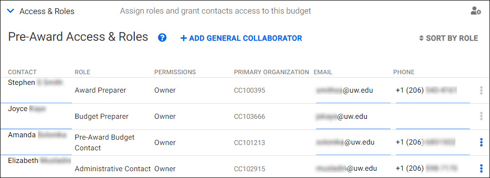 Budget settings access roles