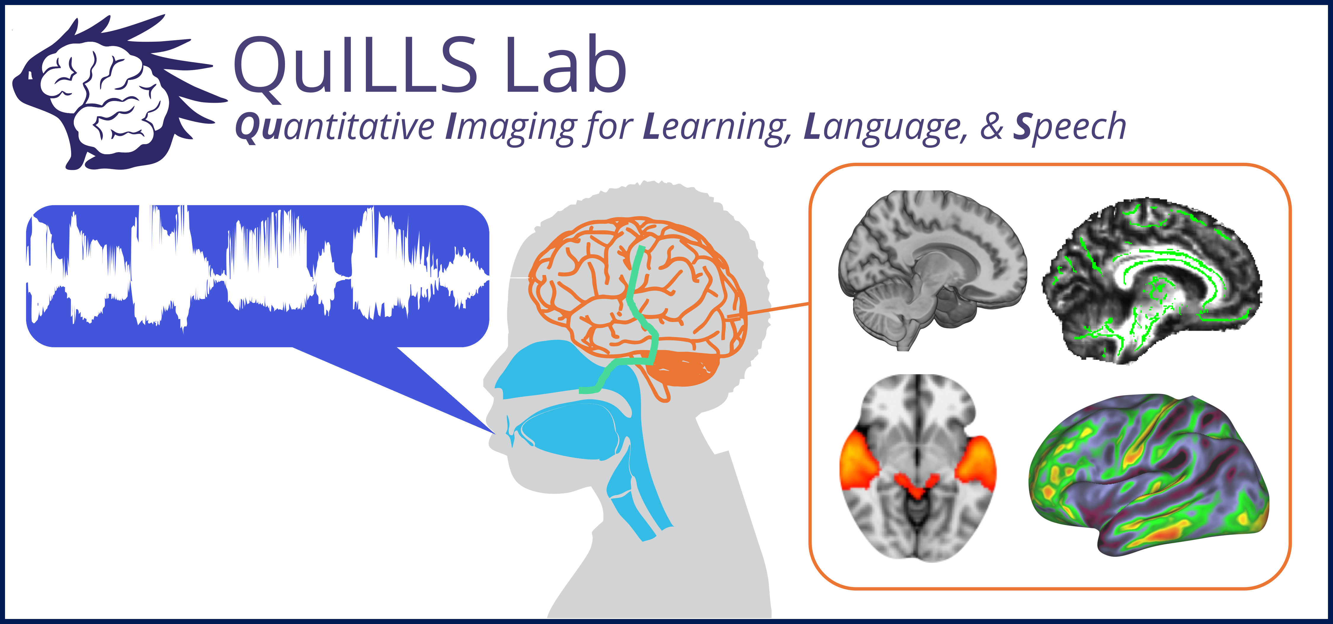Logo for QuiLLS Lab