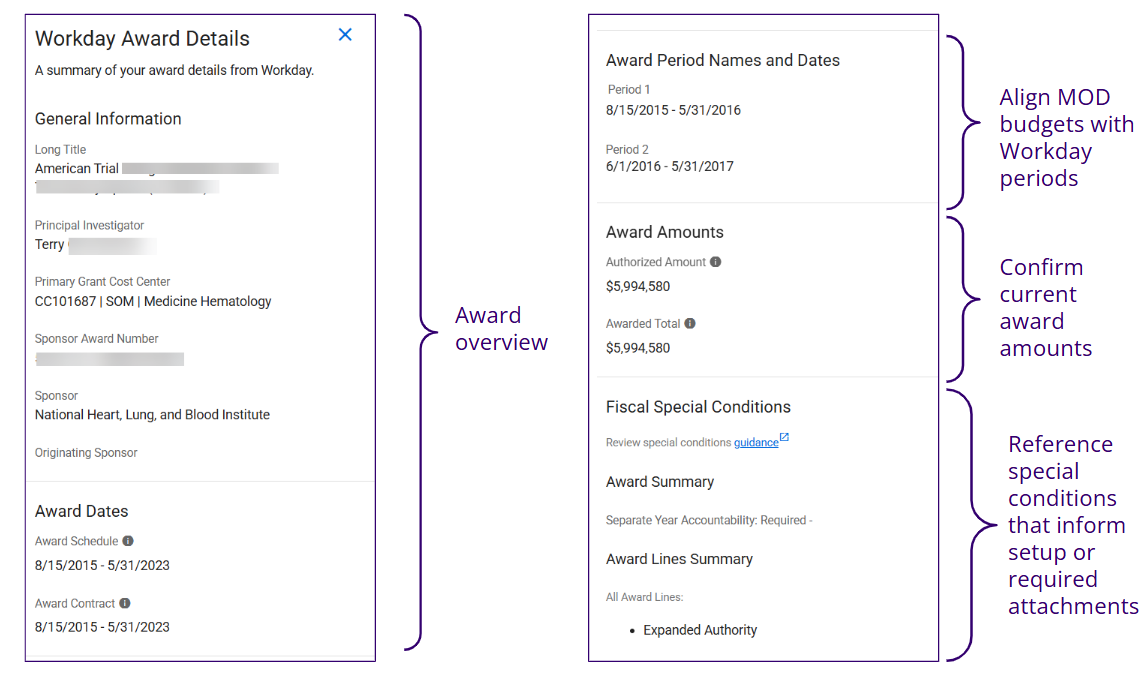 Image displays the Workday Award Details side panel with a description of what details are available.