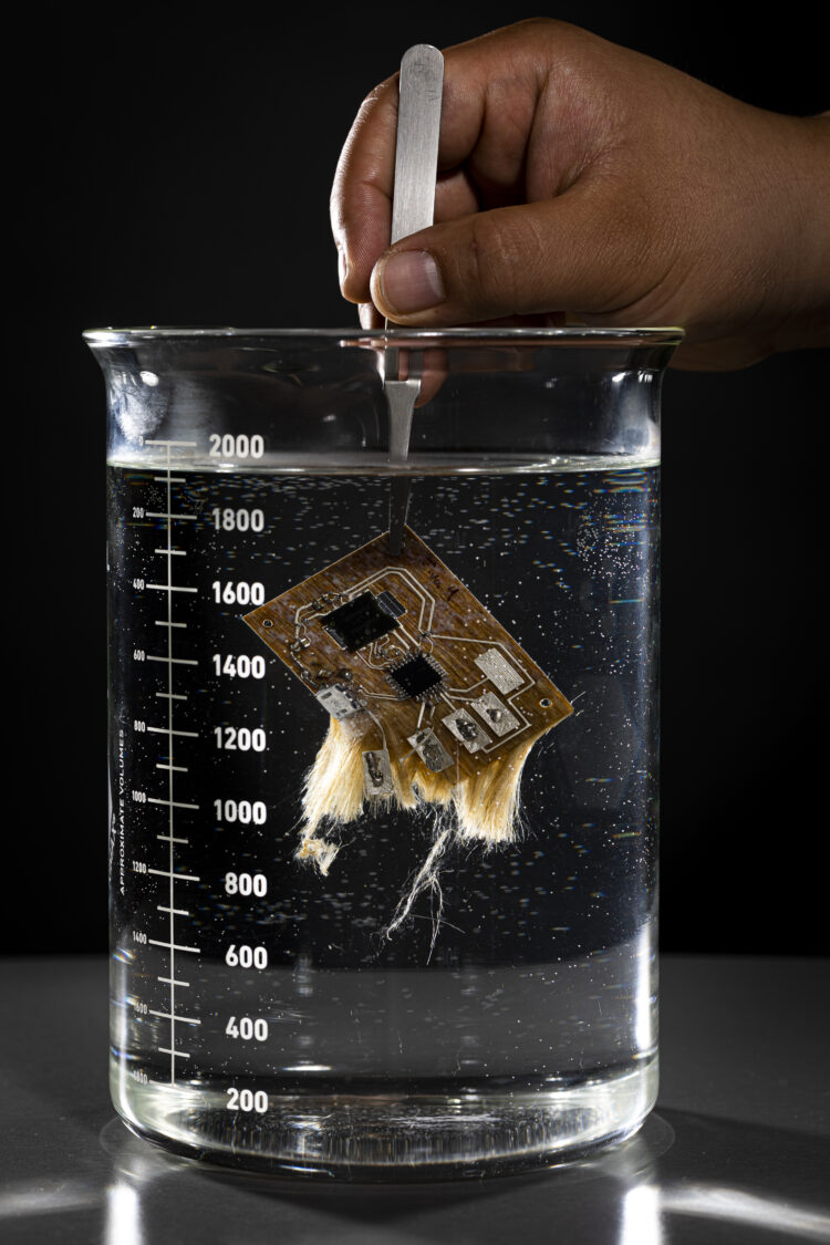 Bio-degradeable curcuits and mouse