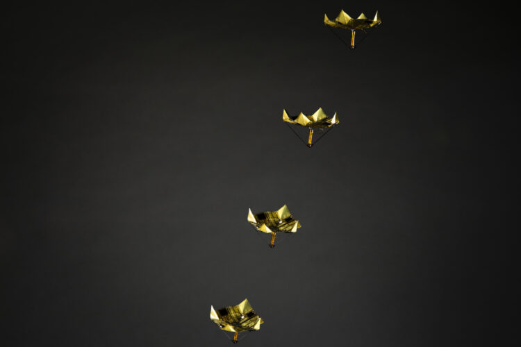 Caption: Researchers at the University of Washington developed small robotic devices that can change how they move through the air by "snapping" into a folded position during their descent. Shown here is a timelapse photo of the "microflier" falling in its folded state, which makes it have a stable upright descent.