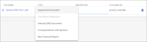Newly uploaded file with the Type menu expanded 