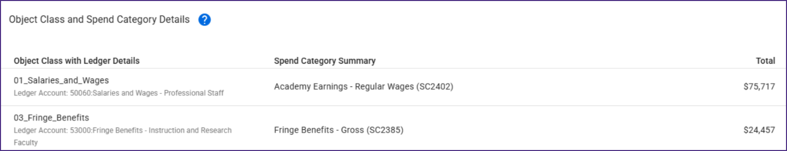 SAGE screenshot showing two example entries and their totals under the Object Class and Spend Category Details header of a budget.
