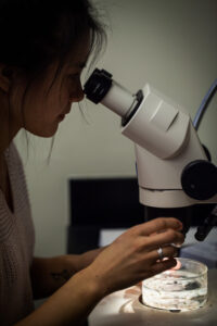Z Yan Wang (she/her) microscope
