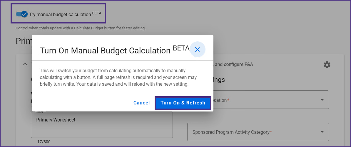 Screenshot of SAGE Budget showing the beta toggle and the "Turn On & Refresh" button.