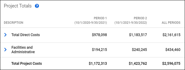 budgeet summary project totals