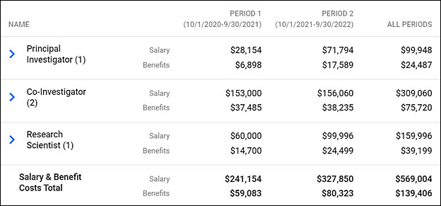 summary salary totals
