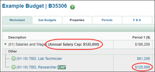 salary cap indicators on the worksheet