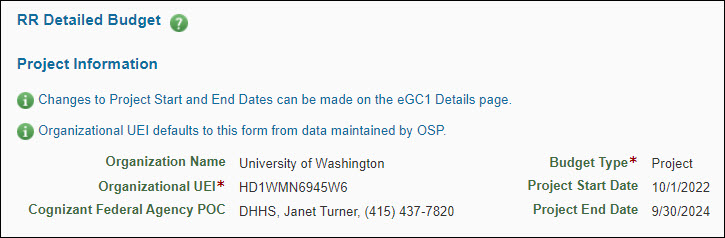 detailed budget project information section