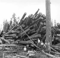 Logging Crew