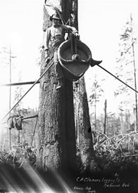 Logger on heavy rigging block