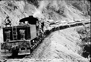 Logs transported by rail