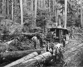Loggers loading logs with horses