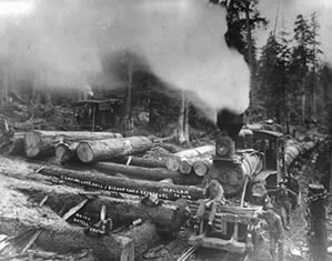 Hall and Bishop Logging Company Operations