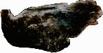 obsisian-image.jpg (3503 bytes)