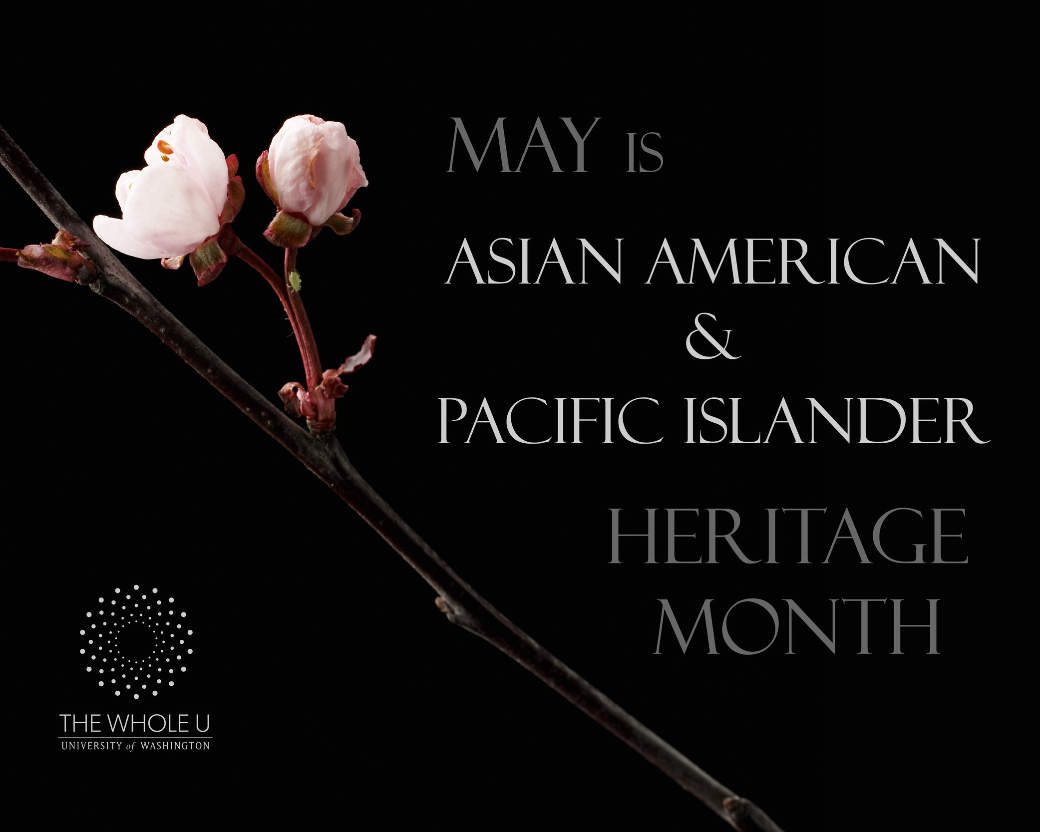 Asian Pacific Islander Heritage Month 45